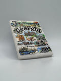 State of Georgia Landmark Art Relief Magnet
