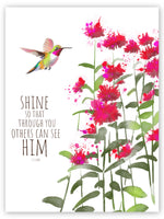 Hummingbird Shine Art Print