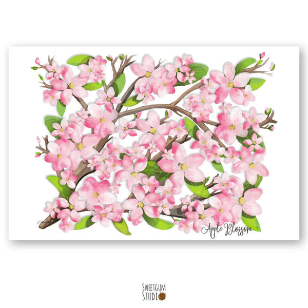 Apple Blossom Art Print