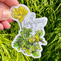 Ranunculus Die Cut Sticker - Clear