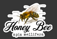 Honey Bee Die Cut Sticker